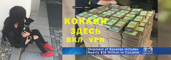дмт Санкт-Петербург